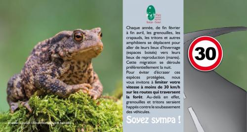 2021_passage_grenouille_2_0.jpg