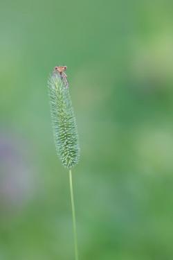 2y9a0758_0.jpg