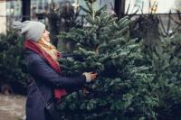 adobestock_243102623_redimensionner_0.jp