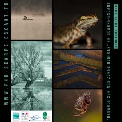 affiche_concours_photo_2020_0.jpg