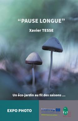 affiche_fond_grisexpo_xavier_tesse_0.jpg