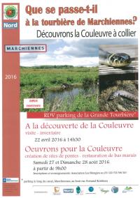 couleuvre__0.jpg