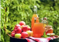 fete_de_pommes_fresne.jpg