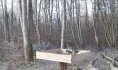 Voilà une mésange bleue et une mésange charbonnière