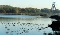 Etang de Chabaud Latour © David Delecourt