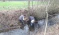 Chantier JMZH - réouverture de milieux sur le Cuyet pour favoriser l'habitat de l'Agrion de Mercure