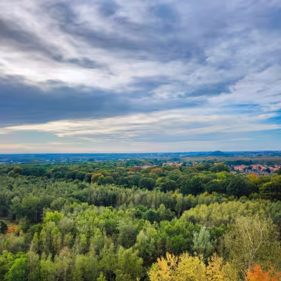 Haut du terril Sabatier