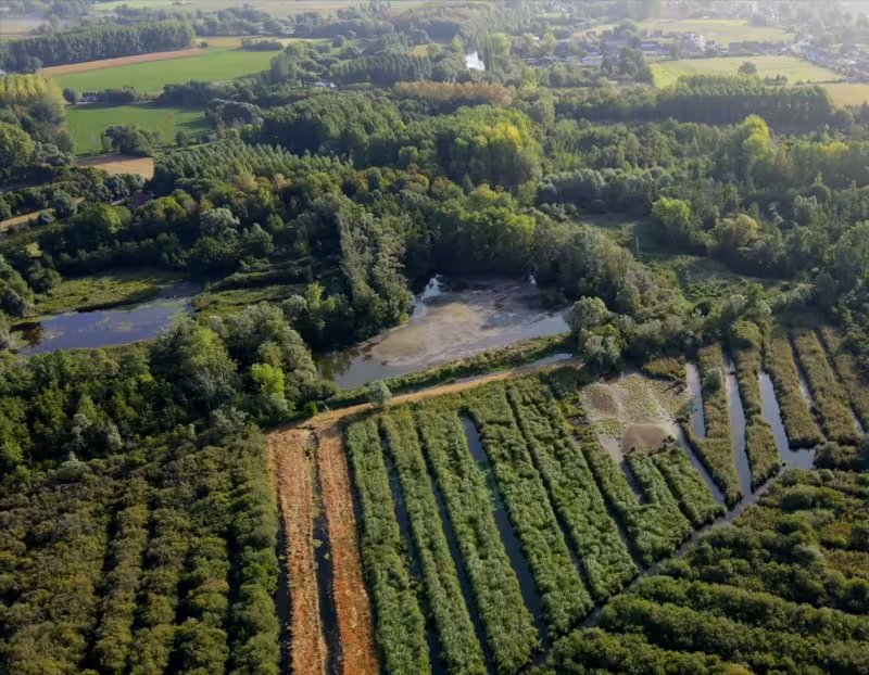 Tourbière de Marchiennes